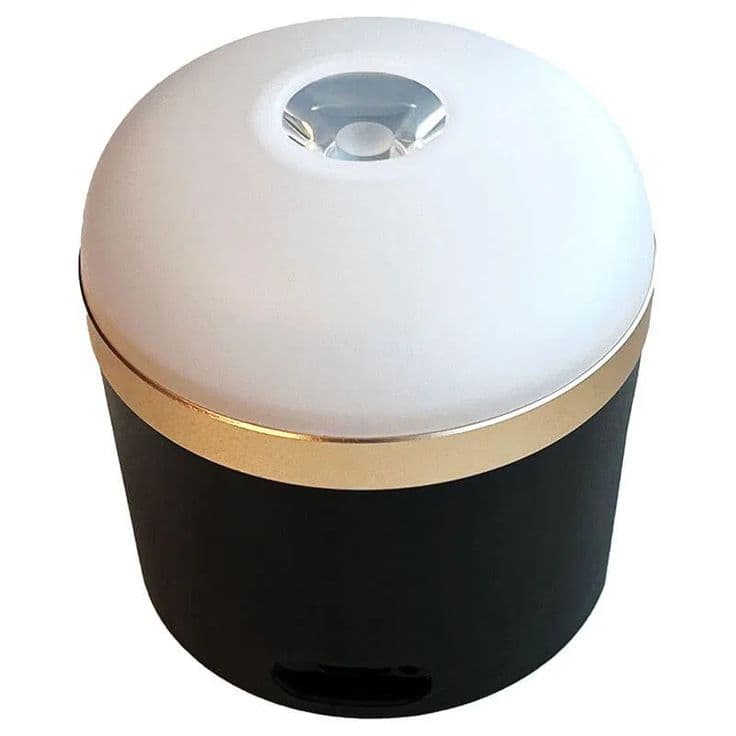 EcoFlow EcoFlow Camp Torches — Buy in Kenya | Batteriq